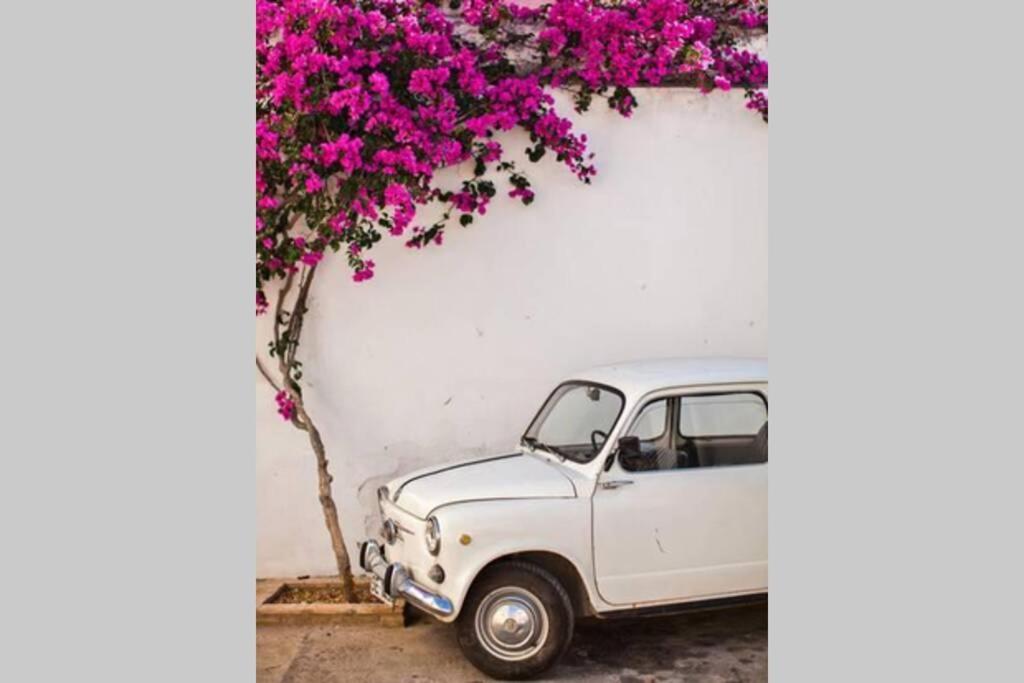 Mojacar Pueblo - Traditional Village House - The Old Jewish Quarter Exteriör bild